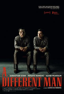 薰衣草2001 封面图